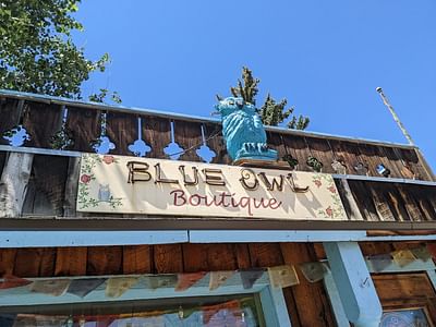 Blue Owl Books & Boutique