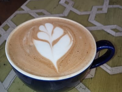 Blue Owl Coffee East Lansing