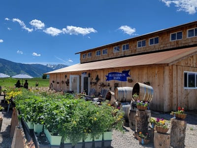 Blue Ribbon Barn