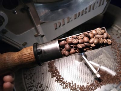 Bluebonnet Coffee Co.