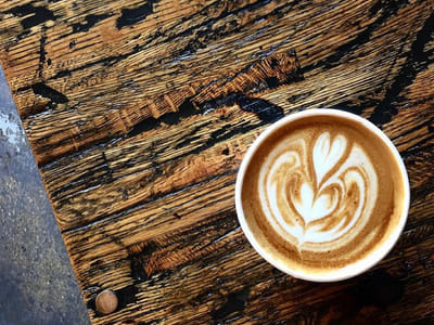 Bluebonnet Coffee Co.