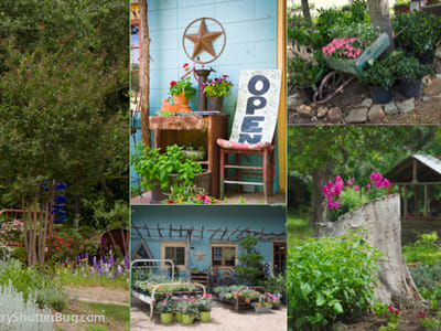 Bluebonnet Herb Farm