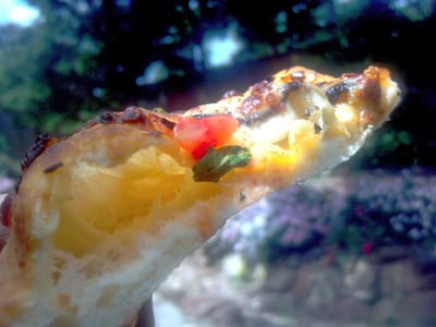 Bluebonnet Herb Farm