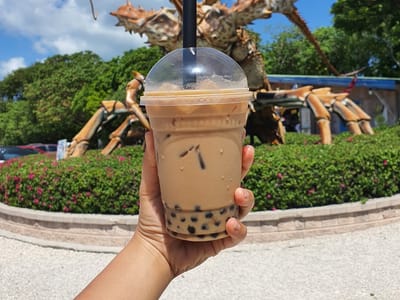 Boba manatea cafe