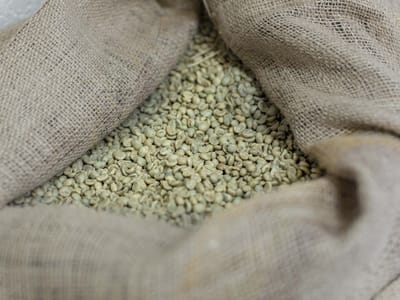 Bonfire Coffee Company