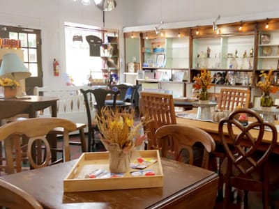 Bonnie Lu’s Best Brew