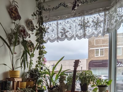 BOOKSHELVES & COFFEECUPS