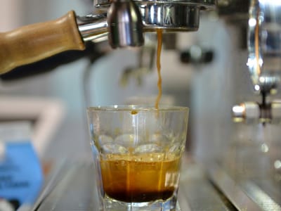 Borealis Coffee Company