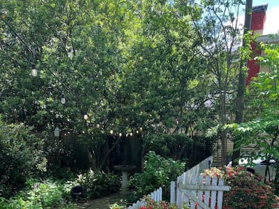 Borough Coffee at Double Oaks