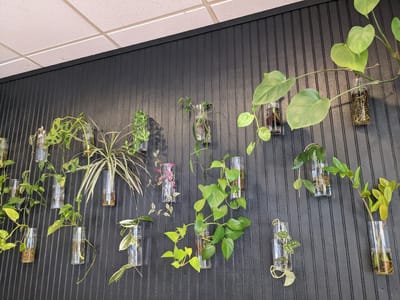 Botanist Coffeehouse