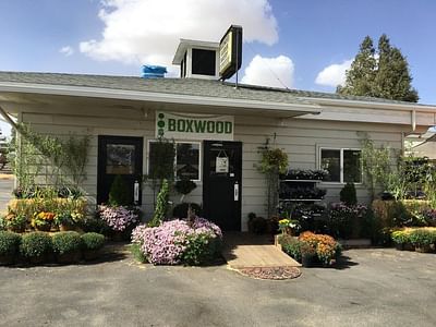 Boxwood Home and Garden