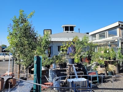 Boxwood Home and Garden