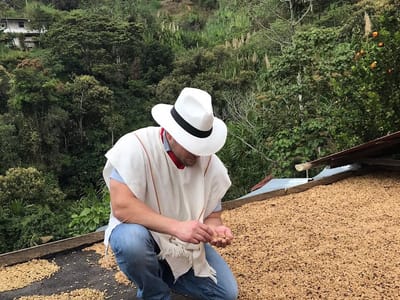 Bravado Coffee Roasters