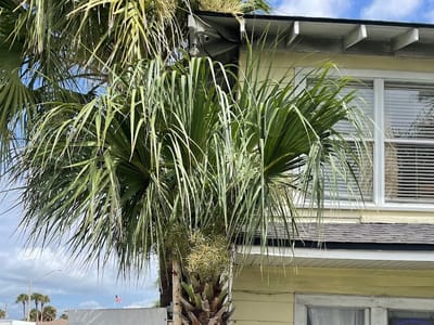 Breezy Coffee Shop Wine Bar