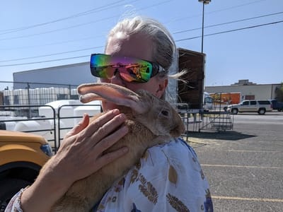 Brew Lane Cafe Express