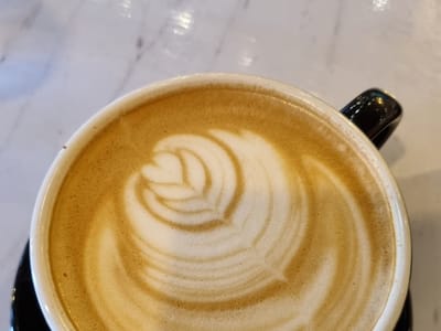 Brew YaYa Coffee + Roaster