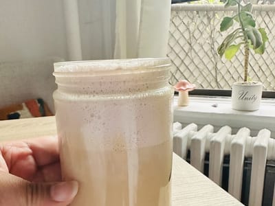 Brewed Monday Coffee