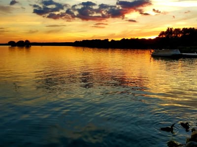 Brewer's Two Cafe Coffee House