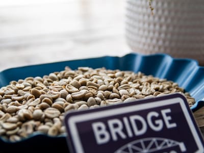 Bridge Coffee Co. New Earth