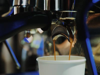 Bridge Coffee Co. New Earth