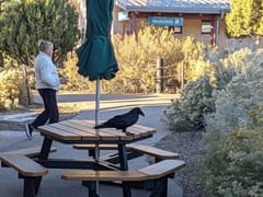 Bright Angel Bikes & Café at Grand Canyon Visitor Center