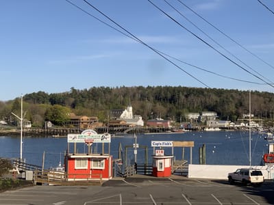 Brisetto's Second Cup