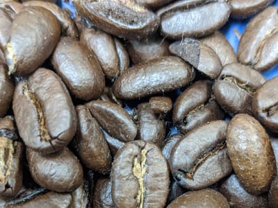 Brisk Coffee Roasters USA