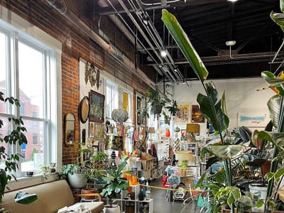 Broad Porch Coffee Co.