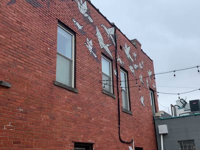 Broomwagon Bikes + Cafe