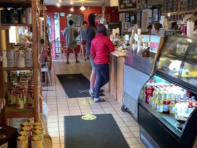 Brown Dog Coffee Company