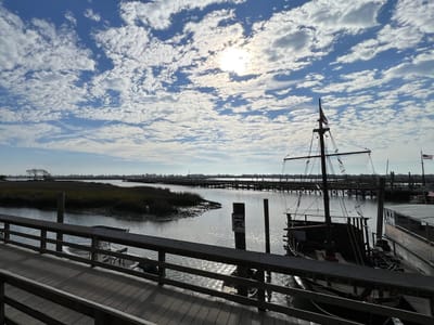 Brown Fox Coffee Box