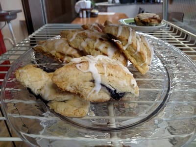 Buckin Bean Coffee Roasters