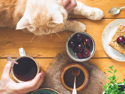 Buehler's Scenic River Coffee Ashland