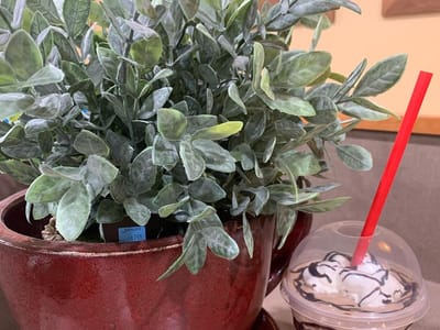 Buehler's Scenic River Coffee Medina River Styx