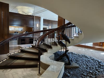 Buffalo Bayou Coffee