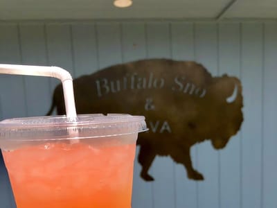 Buffalo Sno