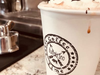 Buffalo Sno