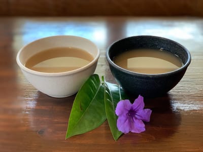 Bula Kavananda Kava Bar & Coffee House