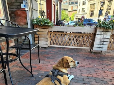 Burke's Perks Cafe and Grill