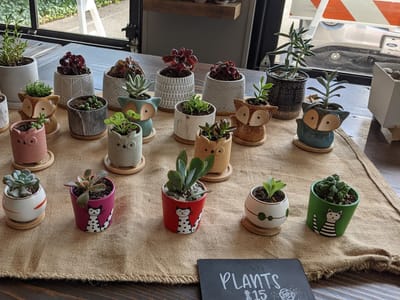 Burlap And Bean Roastery