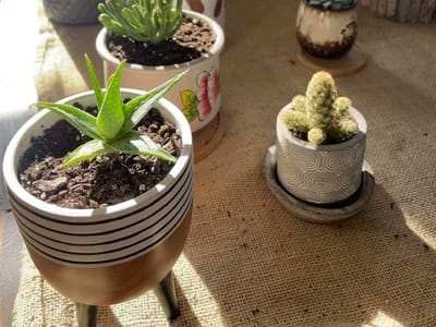 Burlap And Bean Roastery