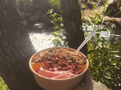 Burlap & Berry Coffee Co.