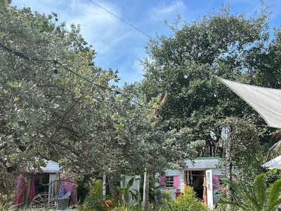 Cafe Moka Islamorada