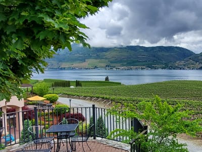 CAFE MYTH @ Benson Vineyards