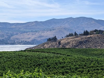 CAFE MYTH @ Benson Vineyards