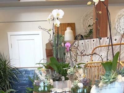 Cafe serving La Colombe Coffee