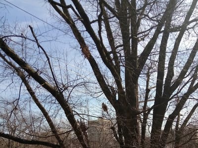 Cafe Verde Store & Cafe