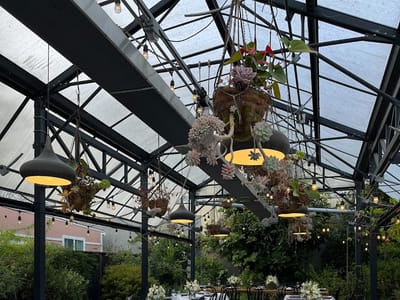 Cafenated Coffee Company