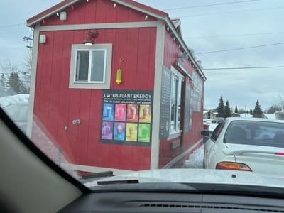 Caffé D'arte Alaska