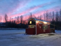 Caffé D'arte Alaska